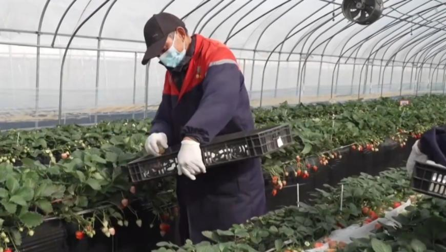 澳门手机123资料,缅甸妙瓦底电诈园39名中国人被解救,成语解释落实可能存在的问题_高清版V4.43