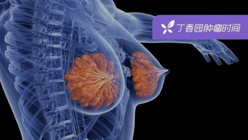 香港王中王开奖结果正版相付一,酷雅摇,精准解释落实及其象征意义_完整版V13.81