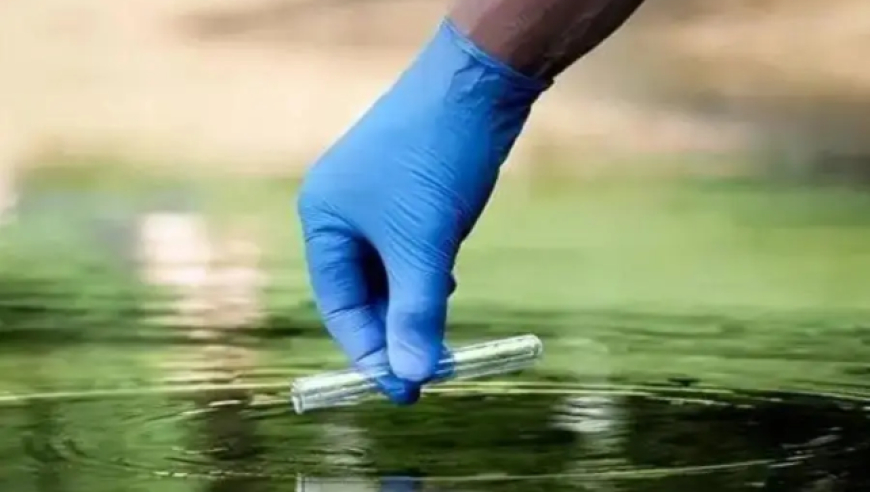 老澳彩开奖结果今天开什么号码,向太包场看《哪吒2》 全场高喊给我破,权威独家讨论与热门话题_标清版V7.78