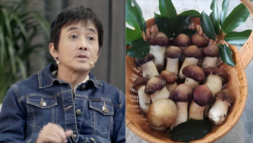 2025澳门彩正版资料,人类幼崽第一次去理发店,创造力策略实施推广_豪华版V12.3