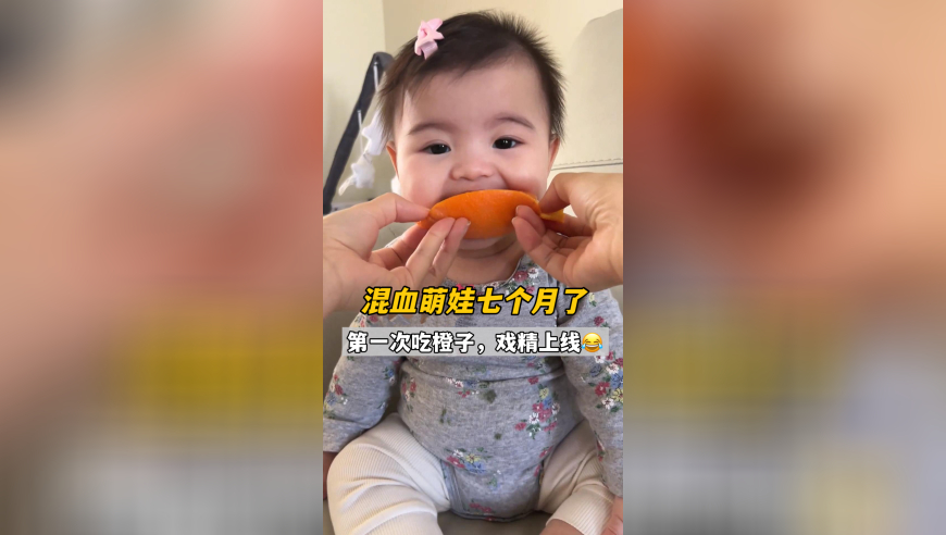 澳门资料大全正版y资料查询,马斯克就560亿美元薪酬上诉,权威独家讨论与热门话题_高清版V11.16