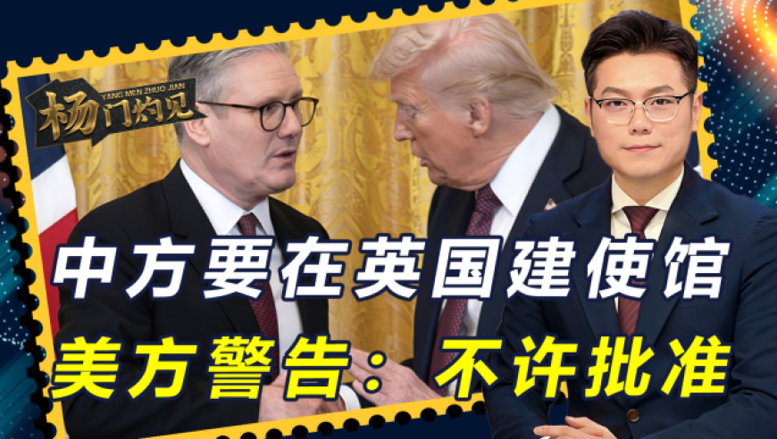 黄大仙摇钱树资料,英伟达营收增速下滑,广泛的解释落实方法分析_精英版V6.86